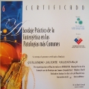 certificado practica sintergetica.jpg