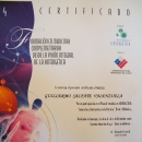 certificado sintergetica medicina compl.jpg
